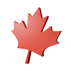 maple leaf